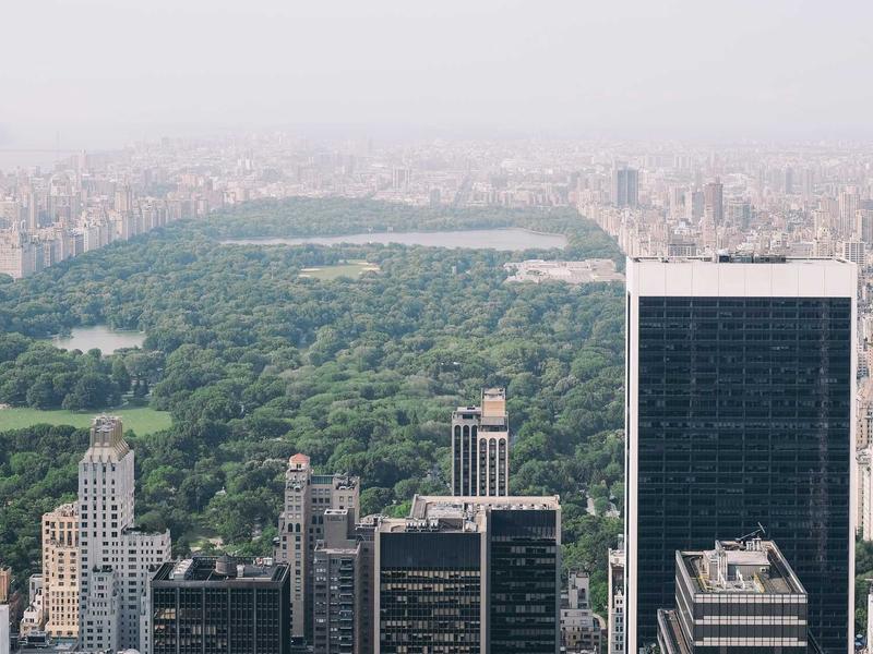 Petra: Cidade Rosa Express